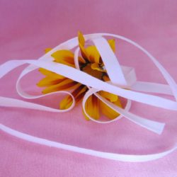 Coulisse de 6mm en coton blanc.