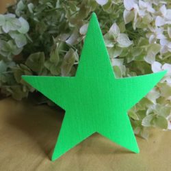 Etoile vert fluo en tissu Ø10cm