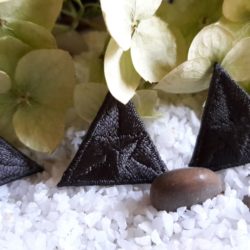 Motif - Mouche anthracite
