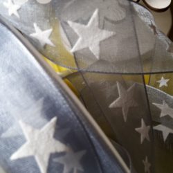 Ruban - Etoiles blanches sur gris bleu