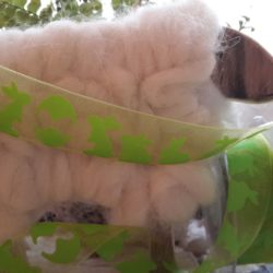 Ruban - Lapins et oeuf verts sur mousseline