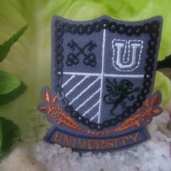 Motif - Blason "UNIVERSITY" gris foncé à paillettes