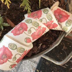 Ruban - Coquelicots sur papier ivoire