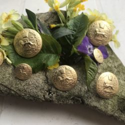 Bouton - Blason : lion royal et soleil sur doré