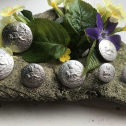 Bouton - Blason : lion royal et soleil sur argent