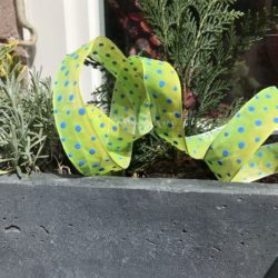 Ruban - Pois bleus sur vert nuancé à jaune