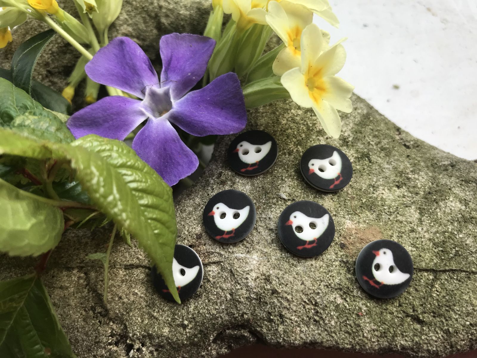 Bouton Oiseau Blanc Au Bec Orange Sur Noir