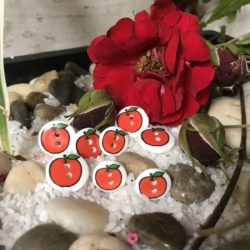 Bouton - Rond, pomme rouge sur blanc