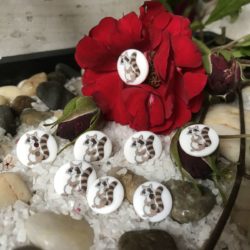 Bouton - Raton laveur sur blanc