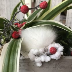 Bouton - Petite boule rouge à picots