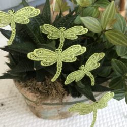 Motif - Libellule verte